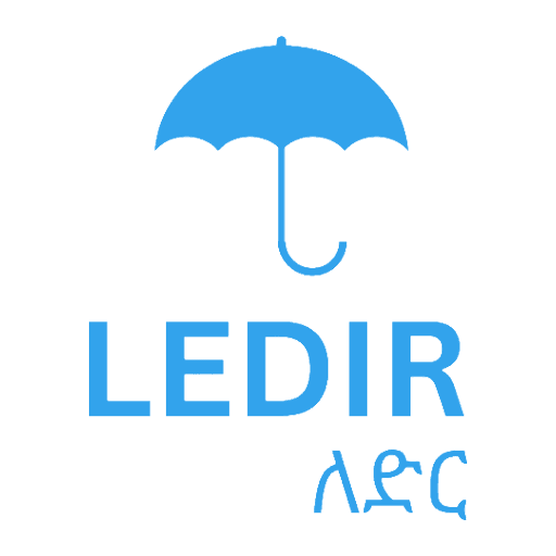 Ledir Logo